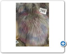 collection 10 Stampe fantasia 288